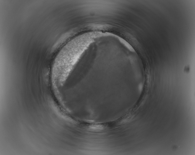 X0000116610357200912312123