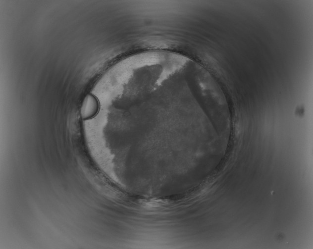 X0000116610359200912312123