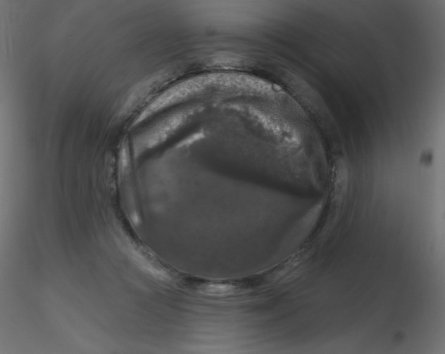 X0000116610361200912312123