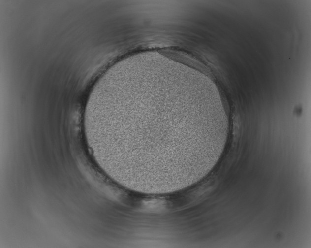 X0000116610362200912312123