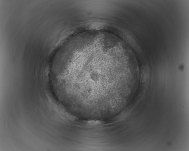 X0000116610363200912312123