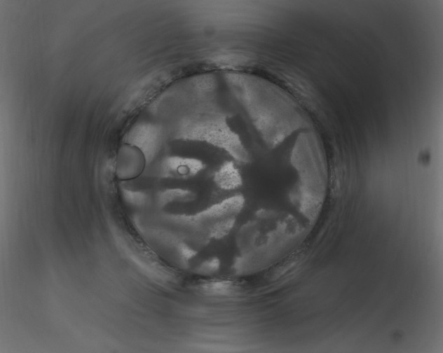 X0000116610365200912312123