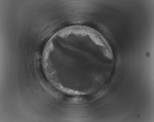 X0000116610366200912312123