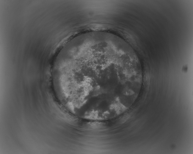 X0000116610367200912312123