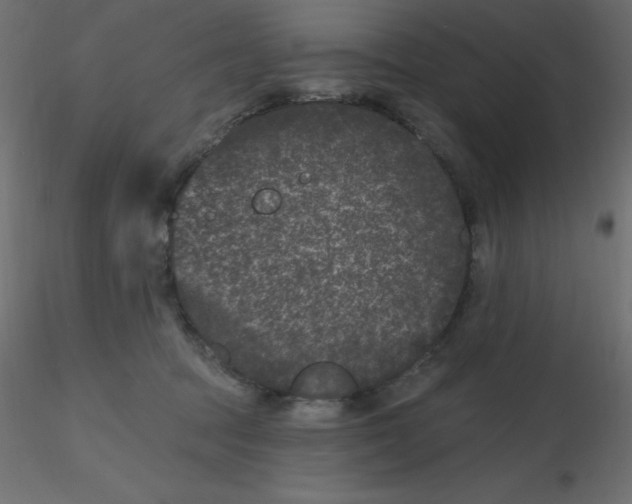 X0000116610369200912312123