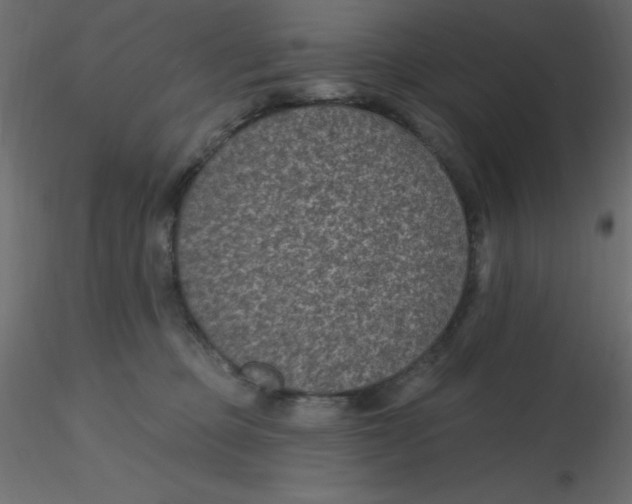 X0000116610373200912312123