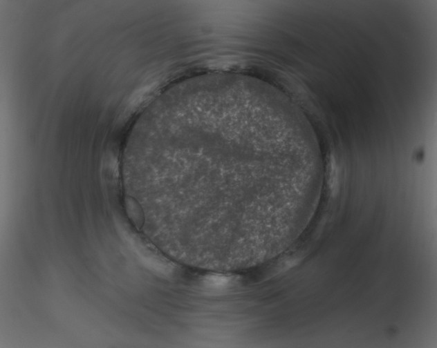 X0000116610375200912312123