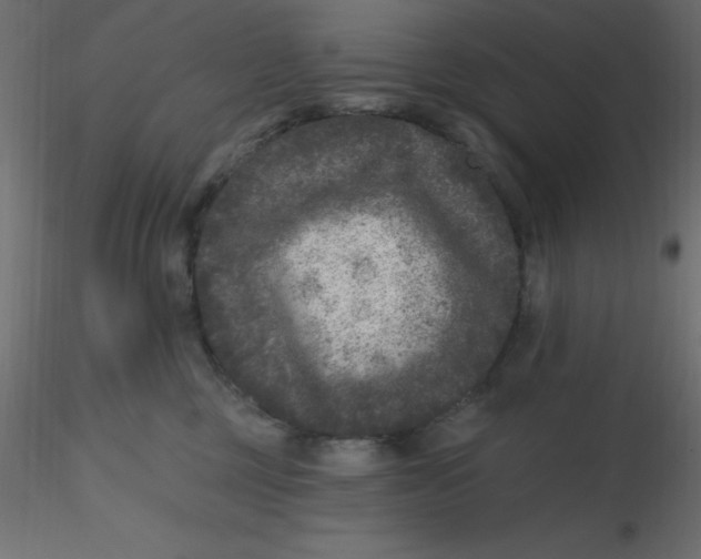 X0000116610377200912312123