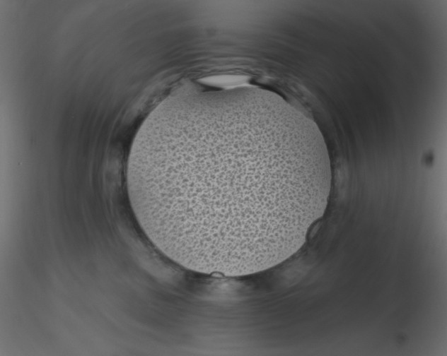 X0000116610379200912312123