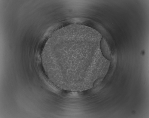 X0000116610381200912312123