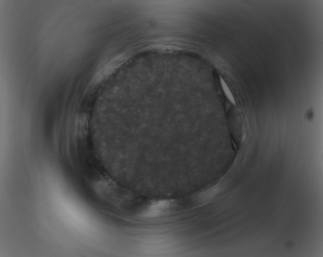 X0000116610382200912312123