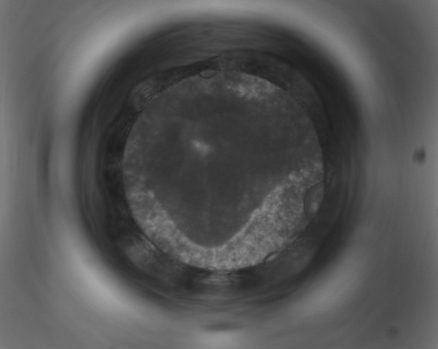 X0000116610383200912312123