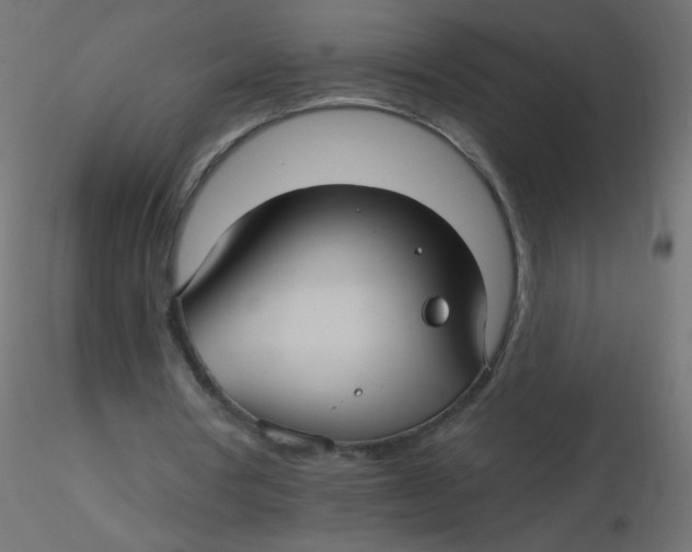 X0000116610386200912312122