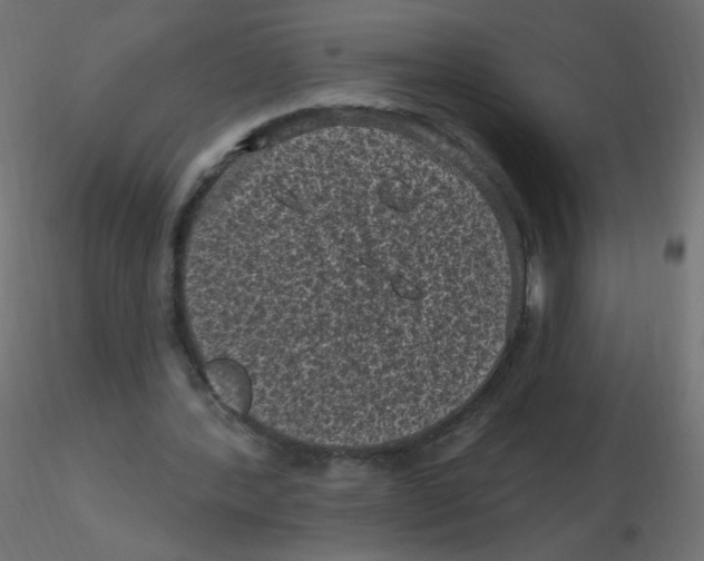 X0000116610388200912312122