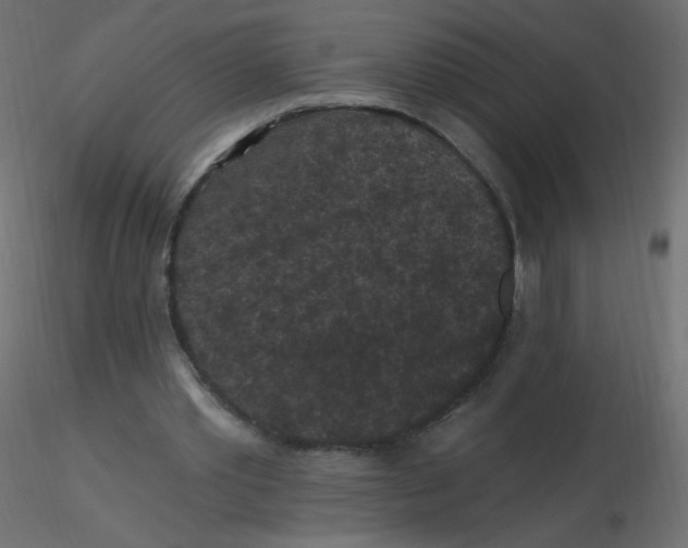 X0000116610389200912312122