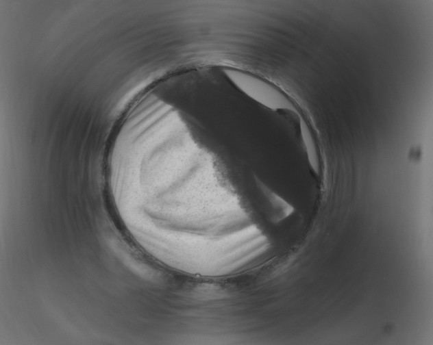 X0000116610390200912312122