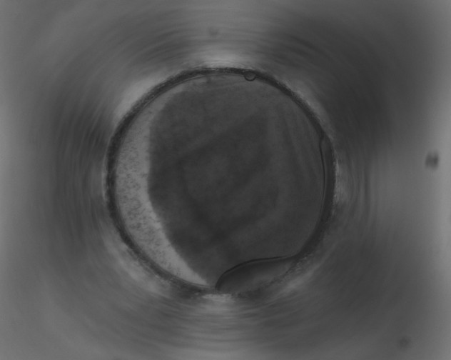 X0000116610391200912312122