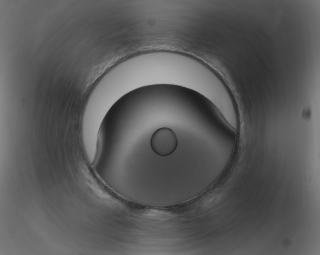 X0000116610393200912312122