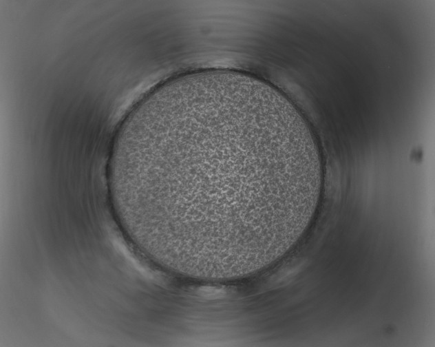 X0000116610394200912312122