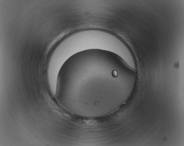 X0000116610395200912312122