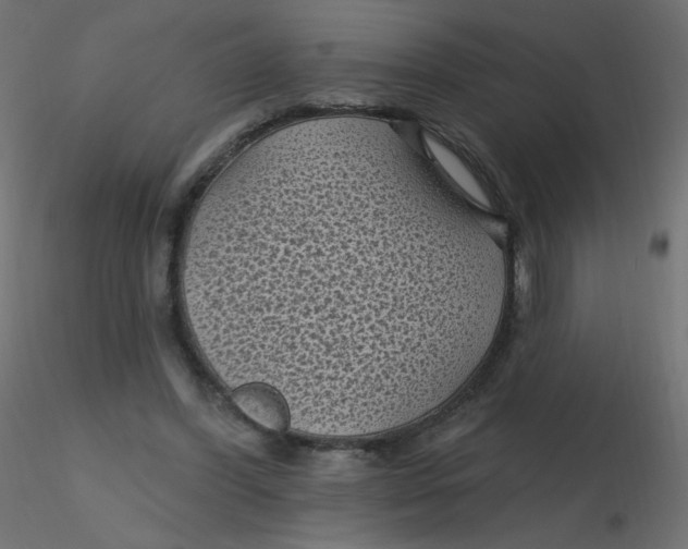 X0000116610396200912312122