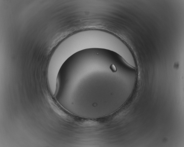 X0000116610397200912312122