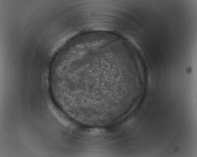 X0000116610398200912312122