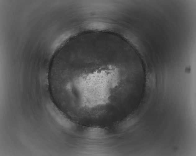 X0000116610399200912312122