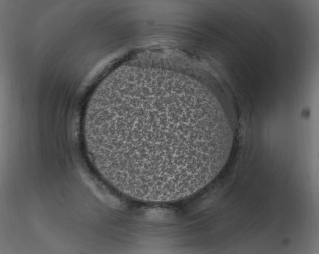 X0000116610400200912312122