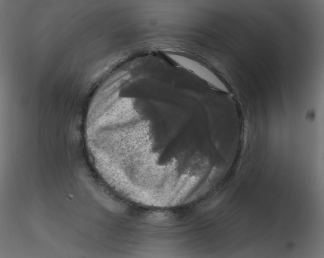 X0000116610402200912312122