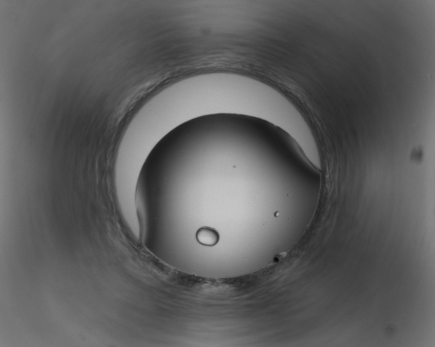 X0000116610403200912312122