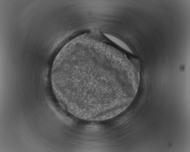 X0000116610404200912312122