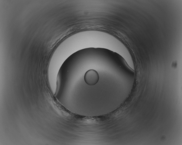 X0000116610405200912312122