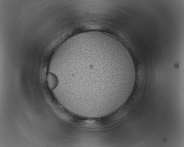 X0000116610406200912312122