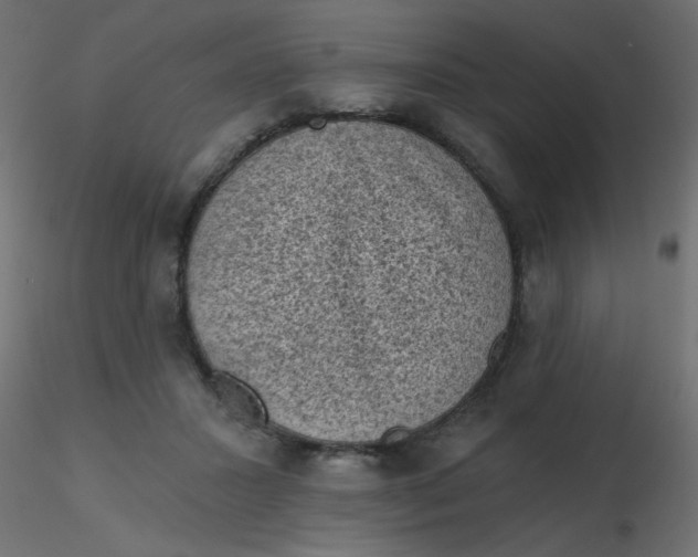 X0000116610407200912312122