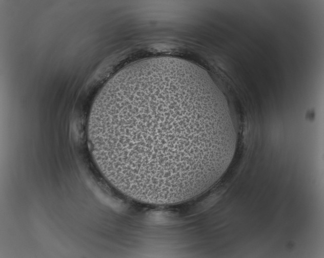 X0000116610408200912312122