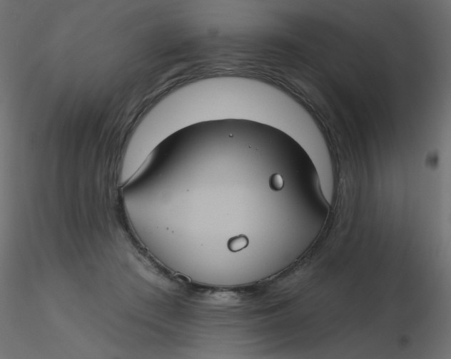 X0000116610409200912312122