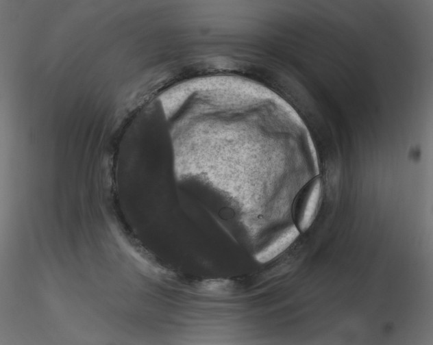 X0000116610410200912312122