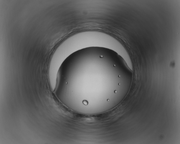 X0000116610411200912312122