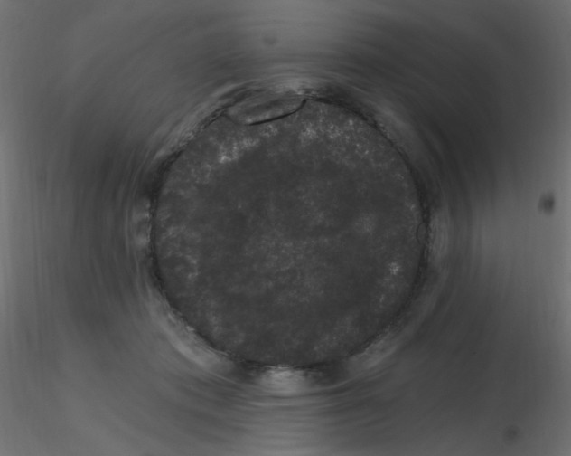 X0000116610413200912312122