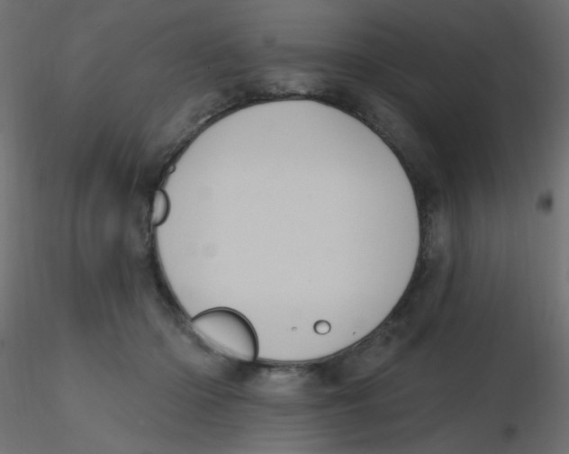 X0000116610414200912312122