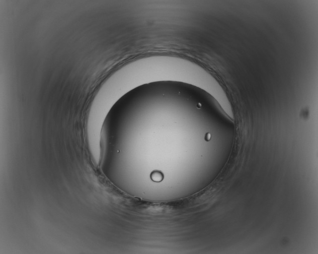 X0000116610415200912312122