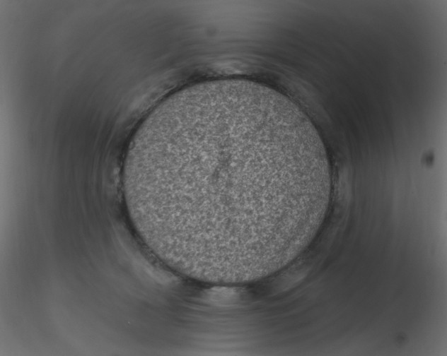 X0000116610418200912312122