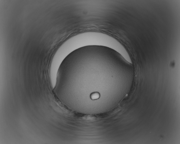 X0000116610419200912312122