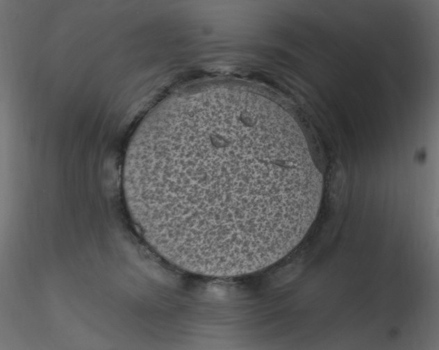 X0000116610420200912312122