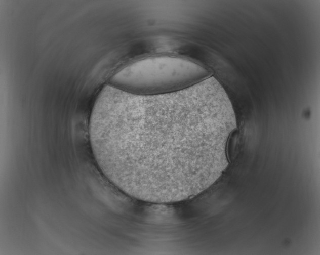 X0000116610421200912312122