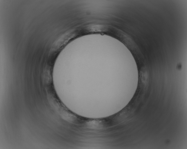 X0000116610422200912312122