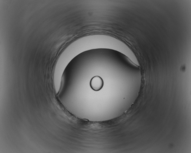 X0000116610423200912312122