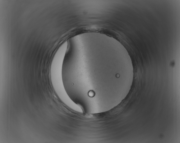 X0000116610425200912312122