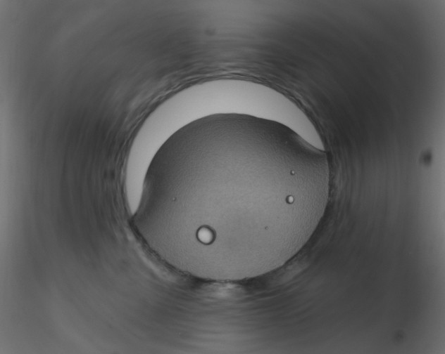 X0000116610427200912312122